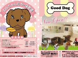 gooddog表.jpg